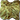 �����